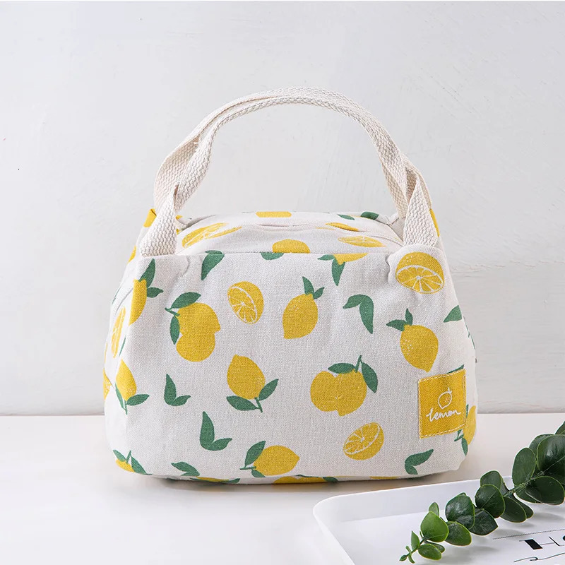 Lunch Carry Bag Insulated Thermal Portable Picnic Bags for Women School Travel Food Handbags Bento Bag Camping Supplies 250228