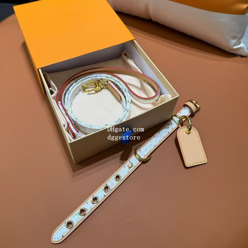 Designer Dog Collars Leash Set, White Multicolour Dog Collar with Dog Tag, Durable Leather Collar and Leash with Metal Buckle for Small Dogs, Luxury Puppy Collar, S B263