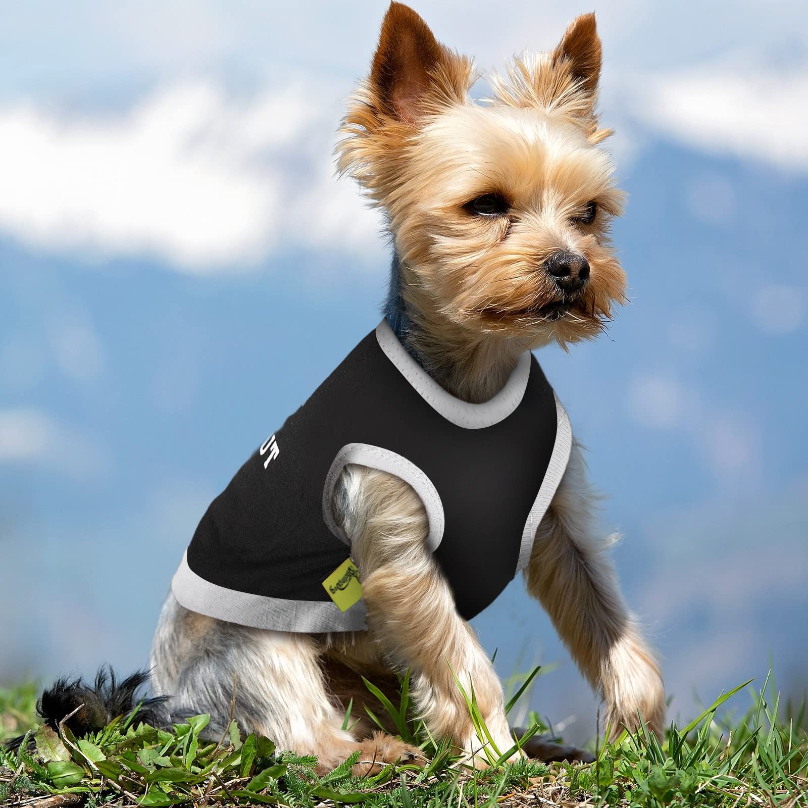 8 Pieces Dog Shirts Boy Funny Printed Puppy Shirts Summer Male Soft Dog Clothes Breathable PET T Shirts Outfits Dog Sweatshirt Clothing