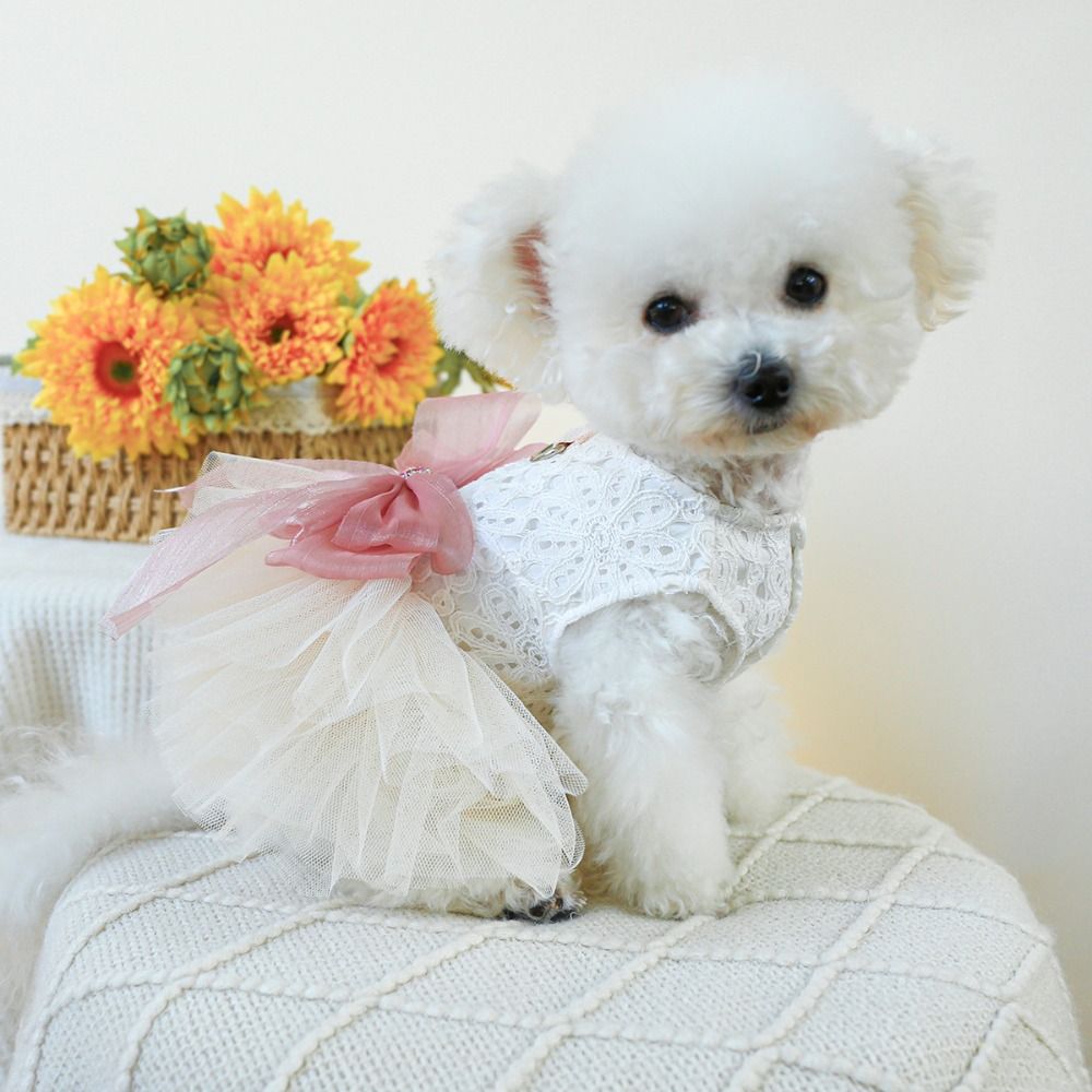 Cute Fairy Dress Cat Dog Wedding Dress Organza Lace Puppy Skirt Soft Big Bow Pet Skirt Birthday Party
