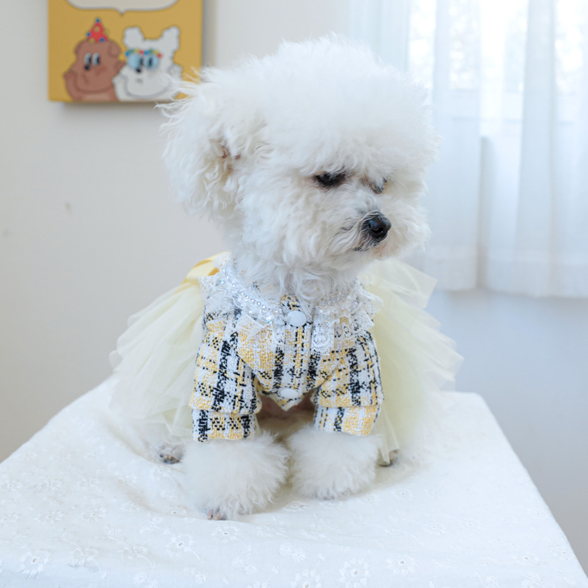 1PC Pet Clothing Dog Cat Autumn Winter thick charm Princess wedding dress dress suitable for small and medium-sized dogs