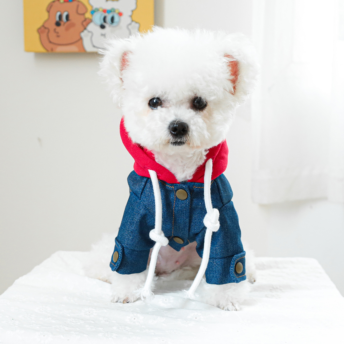 1PC Pet Clothing Dog Cat Spring handsome California cowboy red hat traction coat suitable for small to medium sized dogs