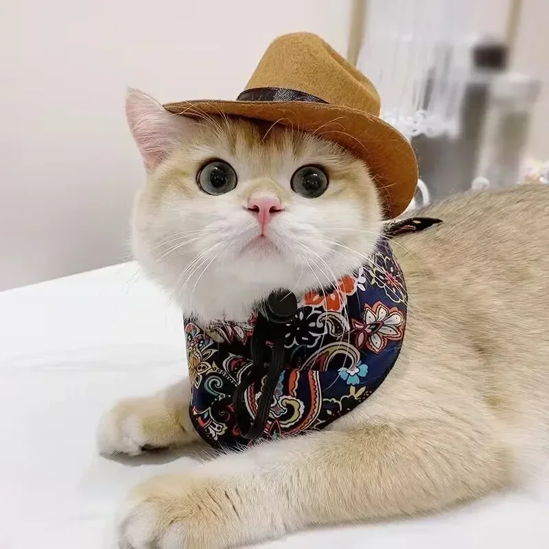 Pet Hat Dog Cat Western Cowboy Hat Halloween Pet Outdoor Caps Funny Retro Photo Prop Dog Accessories Doll Decor Pet Products