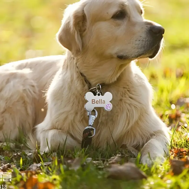 Anti-lost Dog ID Tag Personalized Dogs Cat Tags Bone Shape Customized Pet Nameplate for Collar Necklace Free Gift Chihuahua