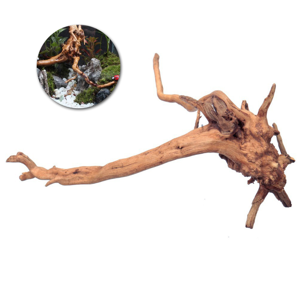 Fish Tank Plant Driftwood for Freshwater Aquarium Chiller Artificial Outdoor Plants