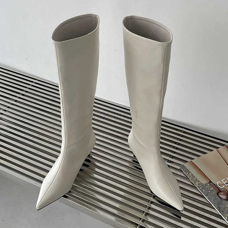 New Brown High Modern Boots For Wen Fem Shoes 2024 Fion Square Luxury Low Heel Pointed Toe Ladies Knee Wern Boots Z250304