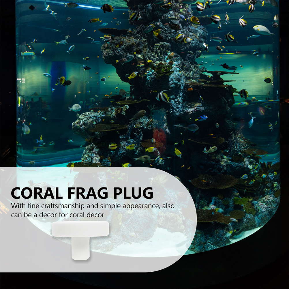 20 Pcs Fish Tank Coral Base Decoration Nurture Supplies Frag Plug Reproduction Ceramics Aquarium Support
