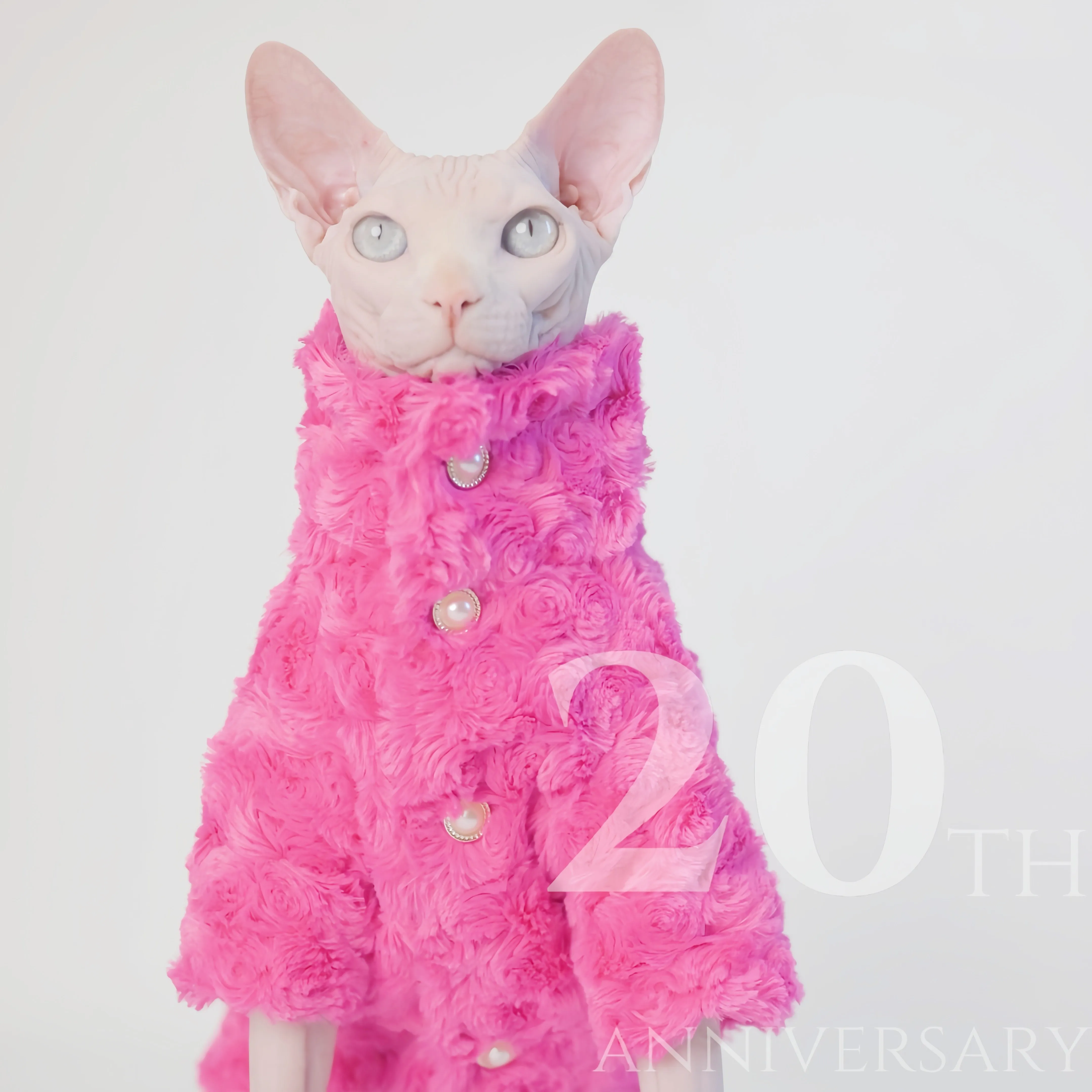 Hairless Cat Clothes Winter Warm Thick Cat Apparel for Sphynx Cats, Devon Rex Cats,Small Cats and Dogs
