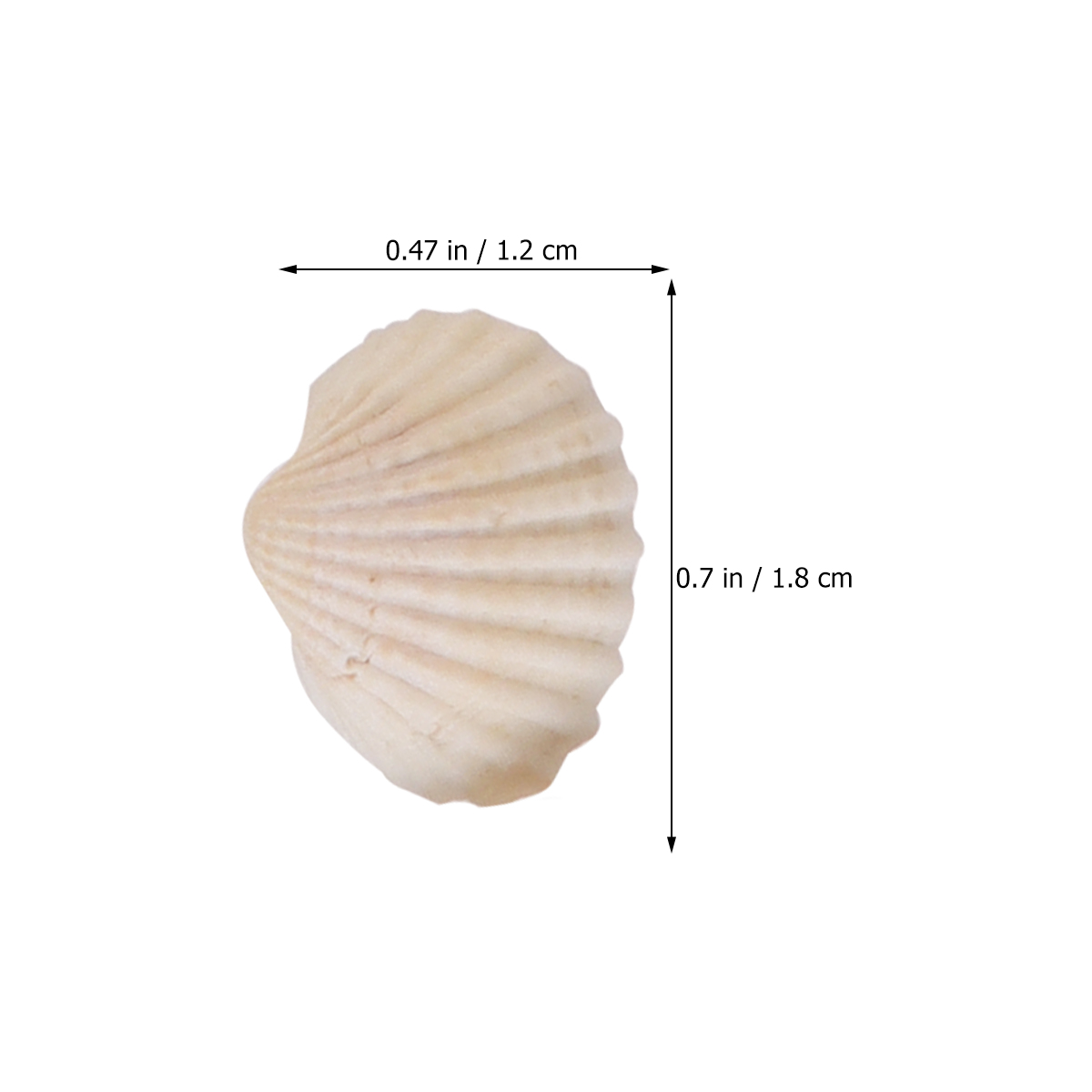 Fish Tank Accessories Shell Jewelry Small Decor Scallop Natural Ornaments Vase Barreled DIY Pendant