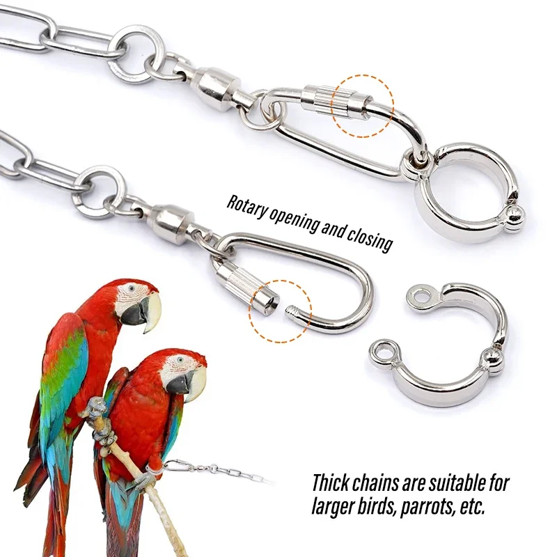 Bird Parrot Foot Chain Stainless Steel Ankle Foot Ring Stand Chain Outdoor Flying Training Starling Pigeon Bird Accessories