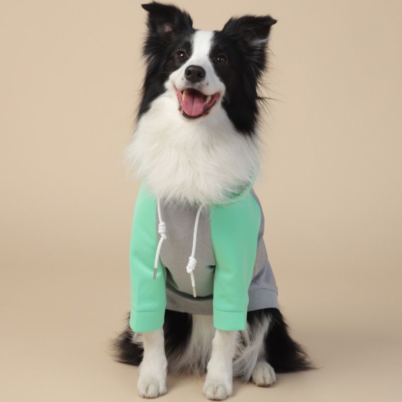 All Weather Four - Legged Windproof Coat Fit for Small and Medium Dogs with an Inclusive Design