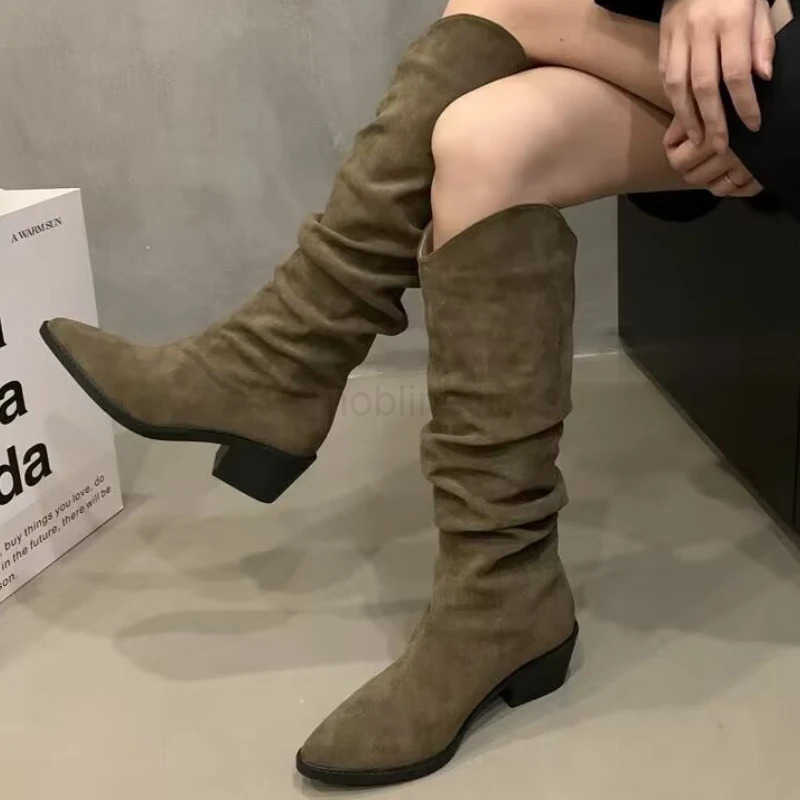 Wen Wern Boots Korean Style Autumn Pointed Toe Long Boots Thick Heel Outdoor Hiking Shoes Botas De Mujer Largas Z250304