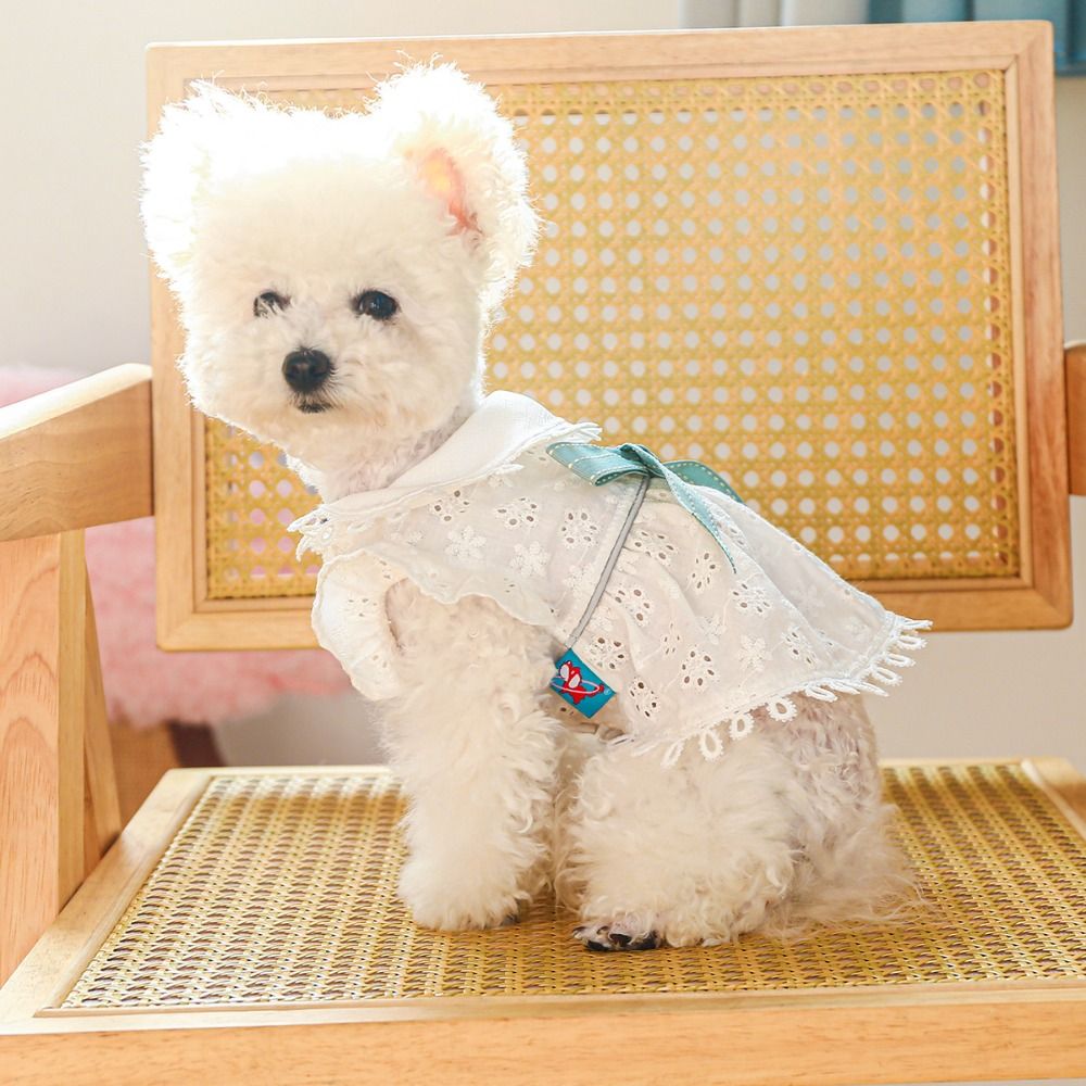 Bichon Frise White Spring Cat Dog Dress Hollow Out Skin-friendly Puppy Skirt Soft Pet Skirt For Cat Dog