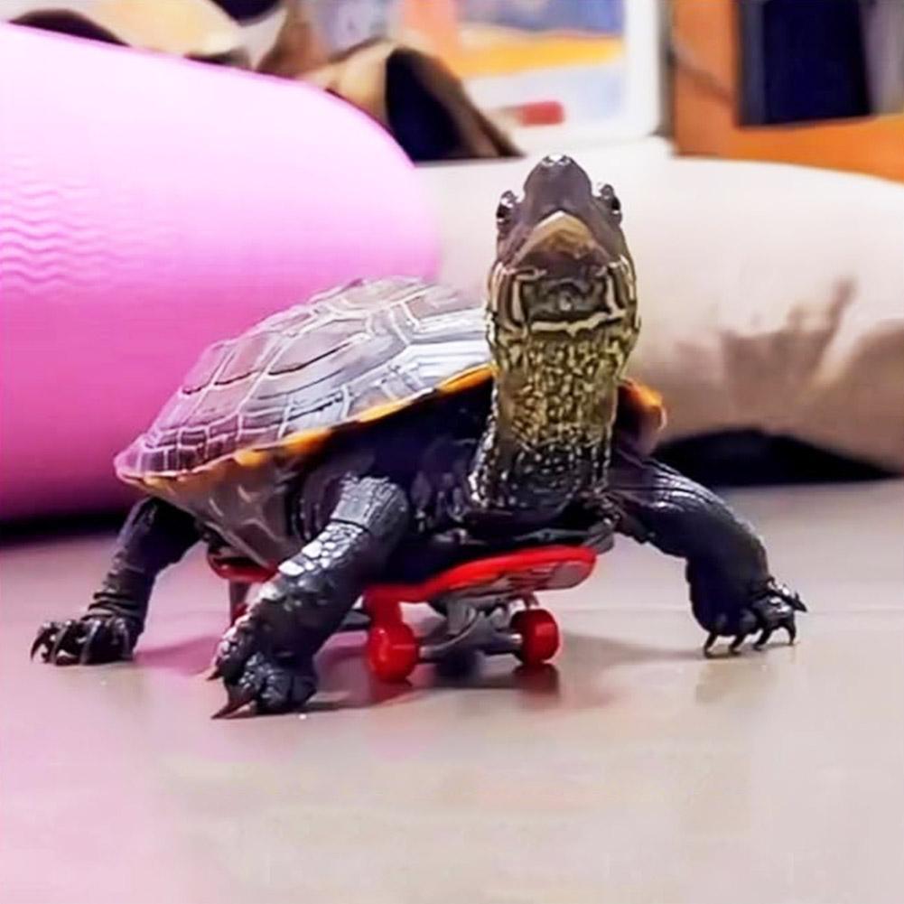 Turtle Skateboard Toys Small Pet Scooter Sliding Fun Pet Toy For Small Animals Hamster Finger Skate Board Pet Toys