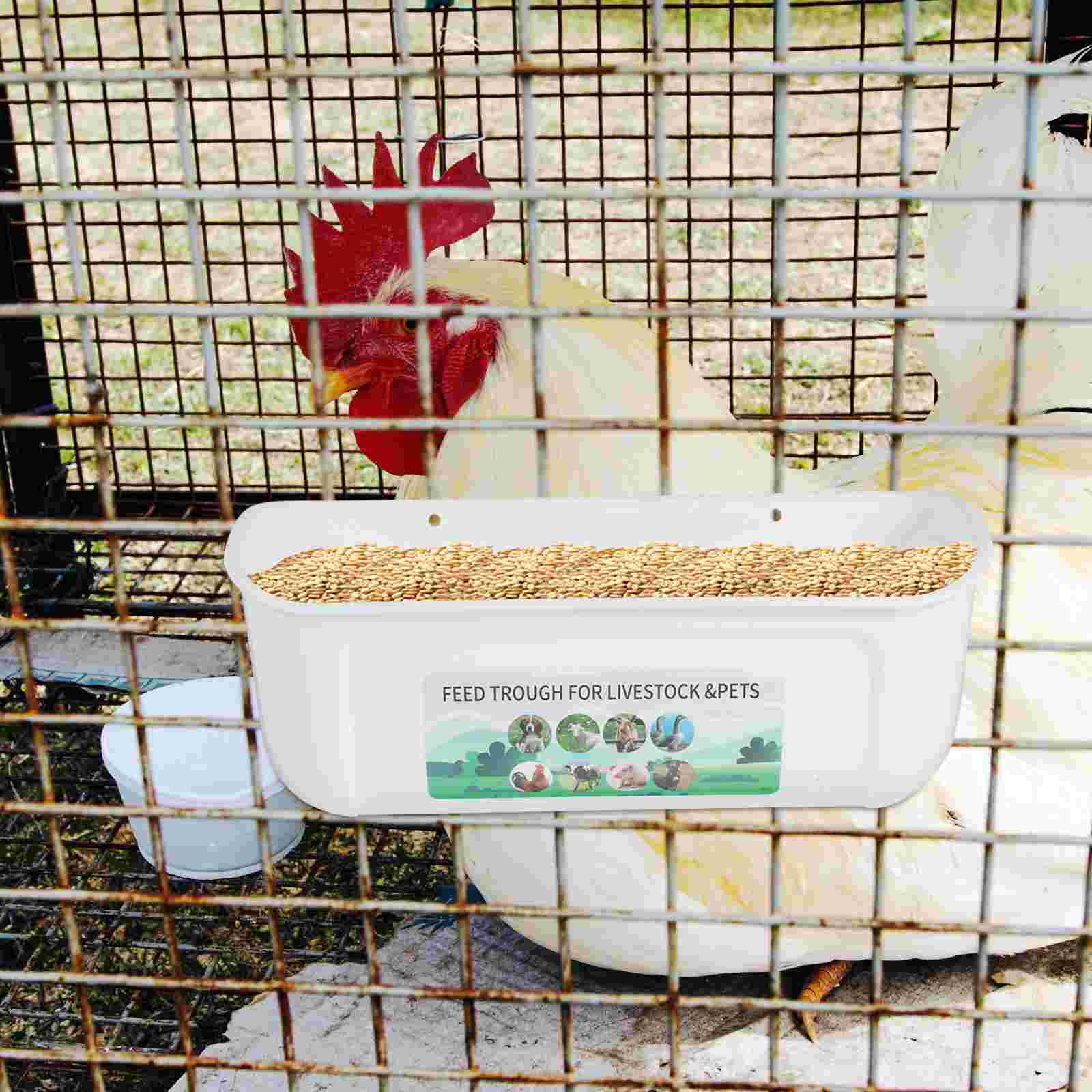 2 Pcs Chicken Feeder for Goats Birds Feeding Groove Trough Horse Bucket Pp Container