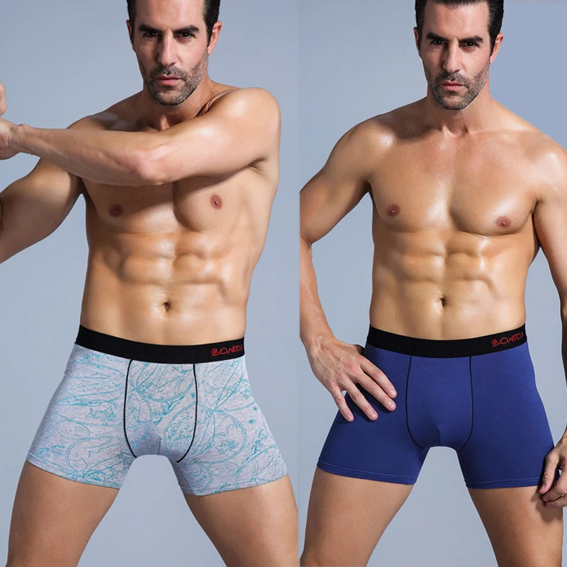 5Pcs Mens Panties Cotton Boxer Sexy Man Boxers Underwear Shorts Lots Male Boxershorts Set Family Underpants s 250303