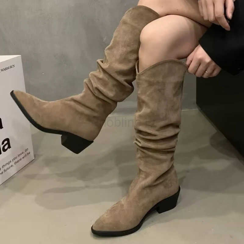 Wen Wern Boots Korean Style Autumn Pointed Toe Long Boots Thick Heel Outdoor Hiking Shoes Botas De Mujer Largas Z250304