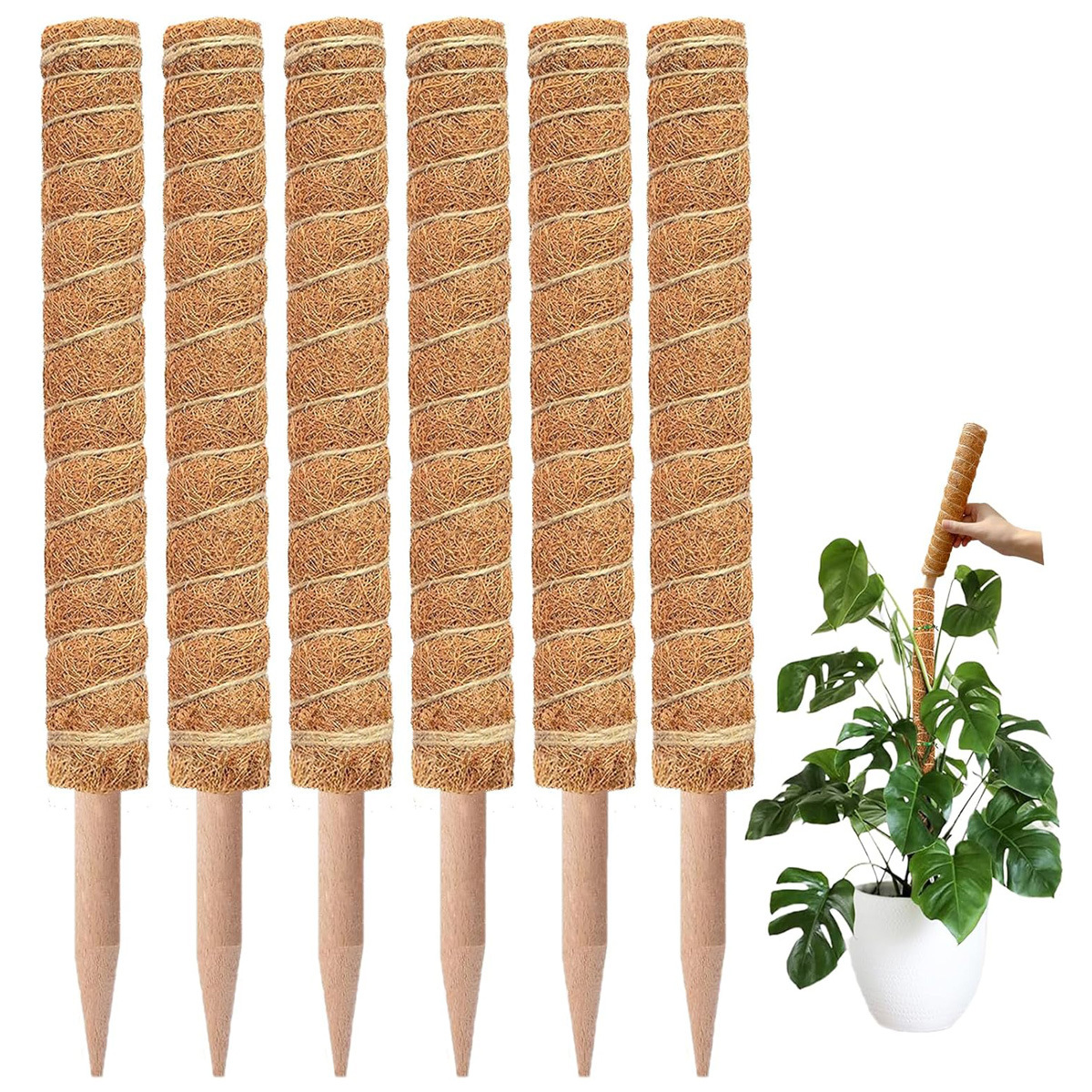 Cross-border Gardening Cocoanut Stick Green Pot Fixed Plant Climbing Cane Flower Support Cocoanut Climbing Cane Moss Rod 1pc