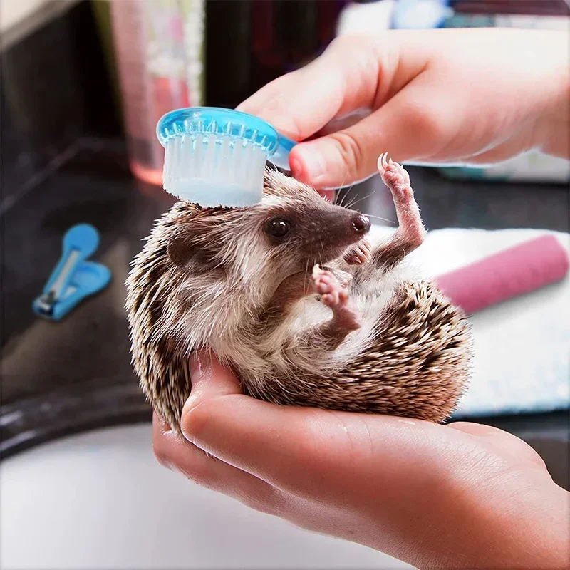 New Tepy Hamster Brush Bathing Brush Guinea Pig Massage Combs for Hedgehog Small Animal Grooming Tools Soft Cleaning Brush