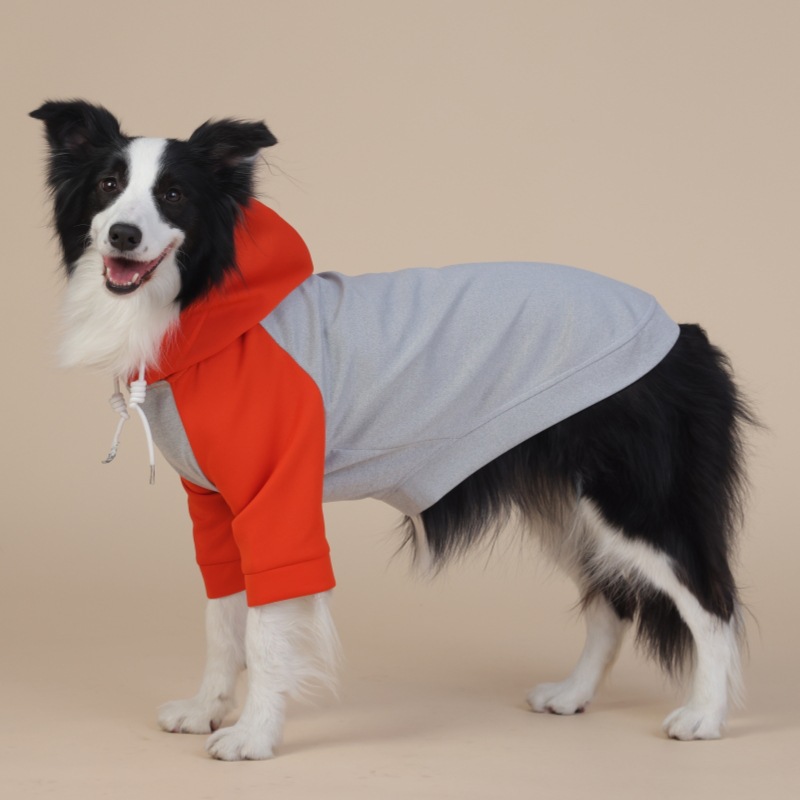 Waterproof Raincoat for Dogs - Medium/Large Size, Reliable & Stylish, Suitable for Year - Round Use