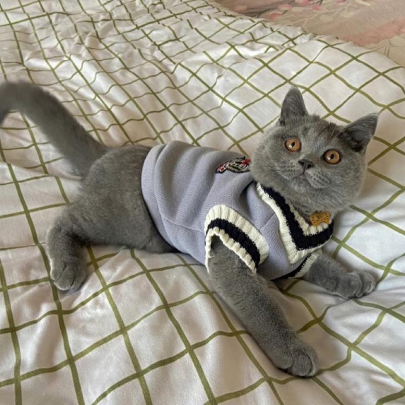 Pet Solid Costume Cat Clothes Autumn Winter Jacket Christmas Sweater for Small Dog Cats Kitten Clothing Puppy Vest Kitty Outfit