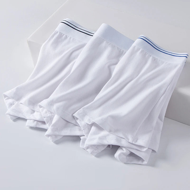 2pcs Pure Cotton Man Boxers Underwear Comfortable Breathable Undershorts Bodysuit Men White Color Undershorts 3XL 4XL 5XL 6XL 250303