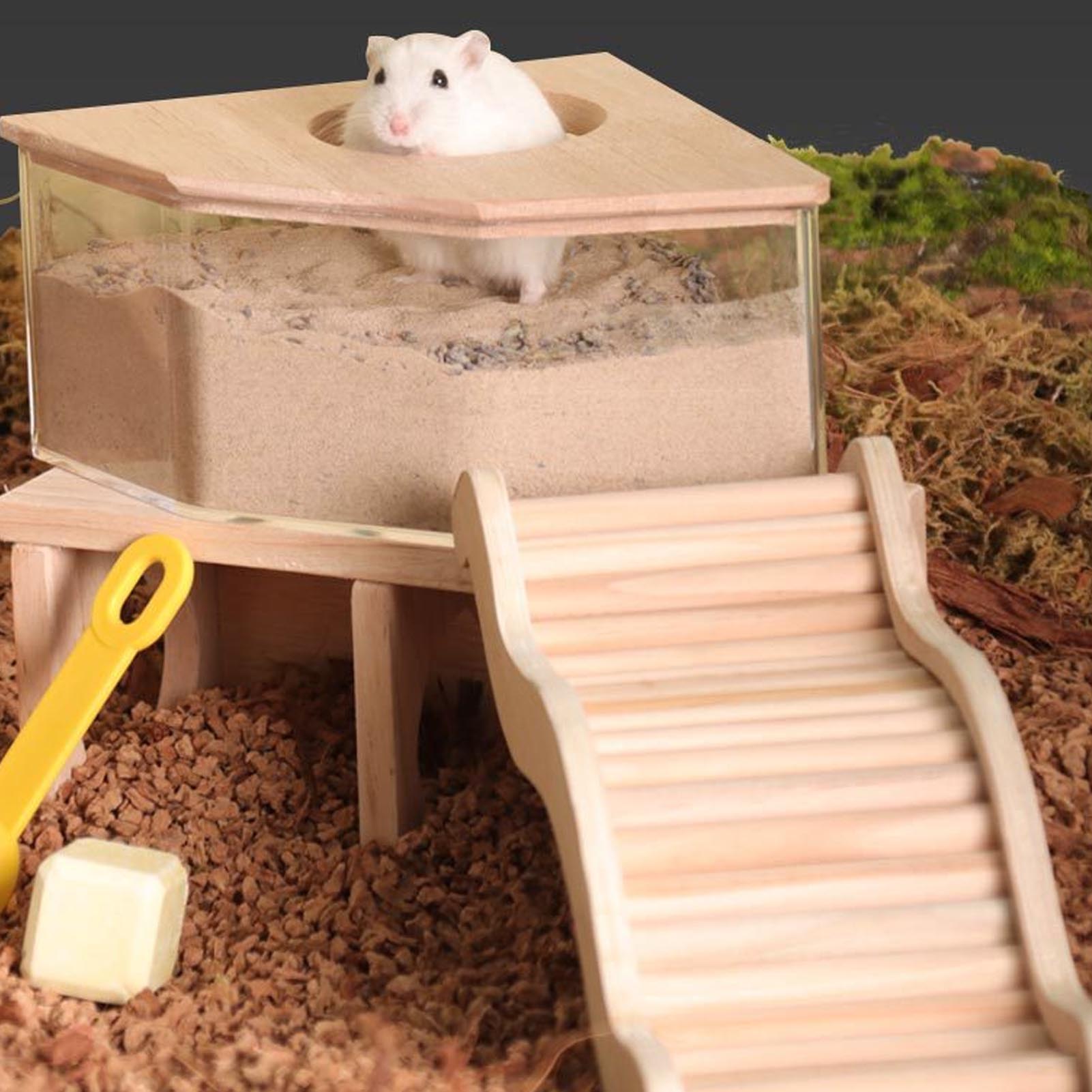 Hamster Climbing Ladder Multipurpose Easy Installation Decorative Beech and Birch Interactive Wood Hamster Ladder for Home