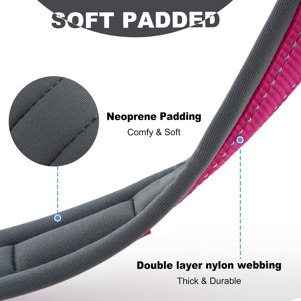 Adjustable ZIIZO Genuine Leather Dog Collar - High-Quality Material Ideal for Training & Everyday Use