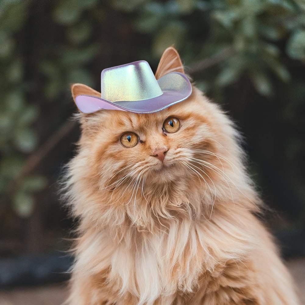 Pet Party Costume Pet Cowboy Hat Dog Cap Fun Outdoor Accessories for Small Dogs Cats for Cosplay Beach Parties Christmas Street
