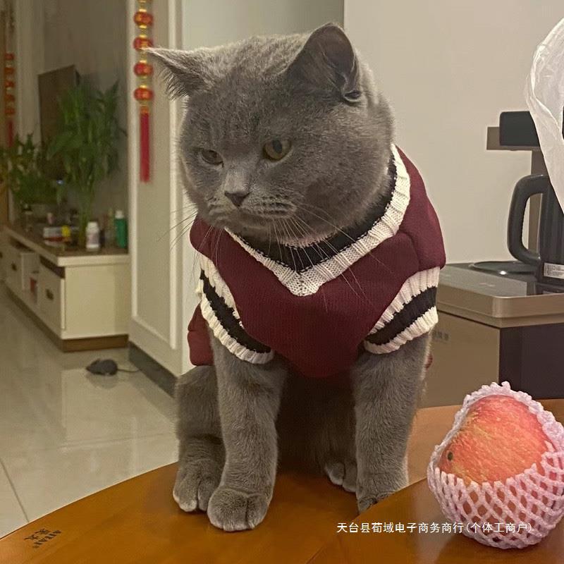 Pet Solid Costume Cat Clothes Autumn Winter Jacket Christmas Sweater for Small Dog Cats Kitten Clothing Puppy Vest Kitty Outfit