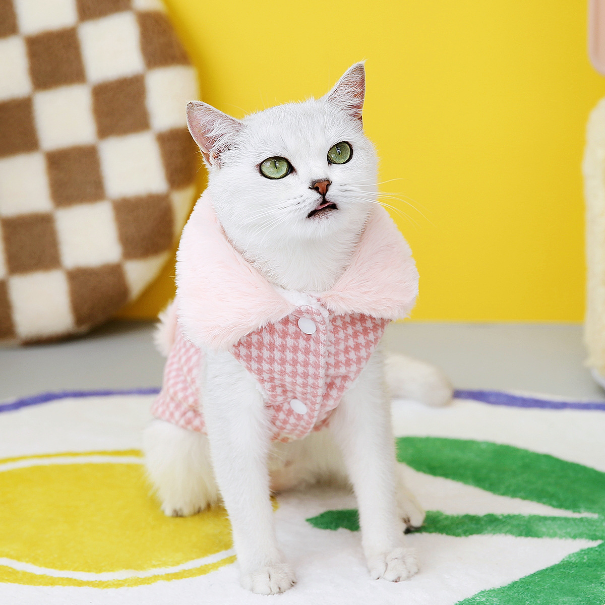 Luxury Winter Cat Coat with Buckle Warm Pet Clothes for Cats KItten Clothing Dog Coat Mascotas Costume