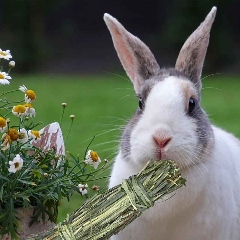 Bunny Chew Toys Hamster Grass Bale Natural Treats For Rabbit Teeth Grinding And Gnawing For Squirrel Guinea Pig Chinchilla