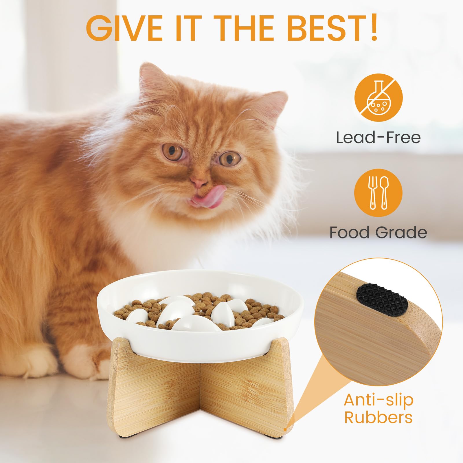 Durable Slow-Feeding Cat Dish with Built-In Support Perfect Heighted Edge for Feline Dining Comfort
