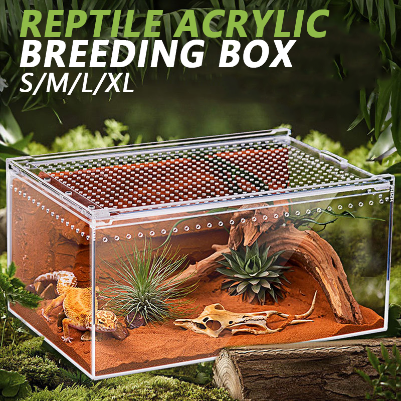 Reptile Habitat Acrylic Breeding Box Transparent Acrylic Leak-proof Cage Spider Lizard Snake Scorpion Habitat Insect Feeding Box