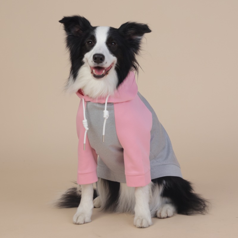 All - Weather Four - Legged Raincoat for Small and Medium Dogs, Unisex Look, Pastel Colors