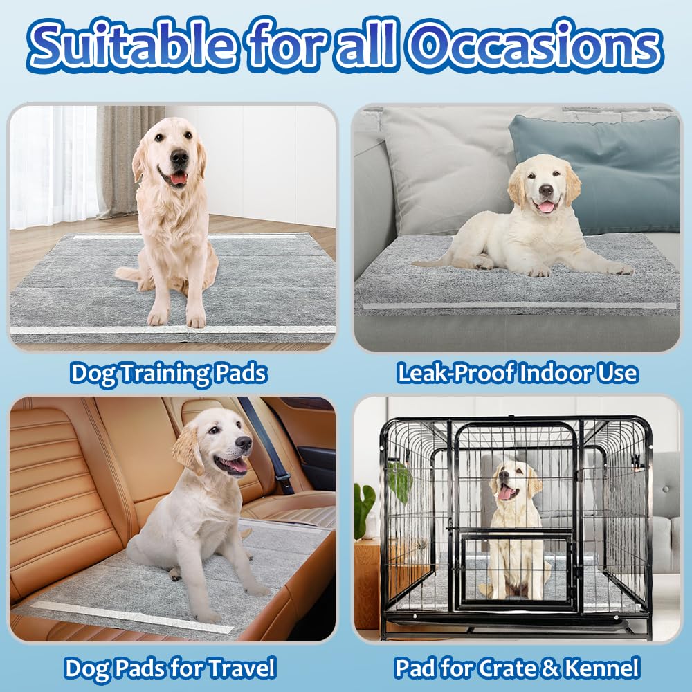 Premium X-Large Charcoal Peepad Set - Durable & Environmentally Friendly Potty Training Mat for Canines up to 28