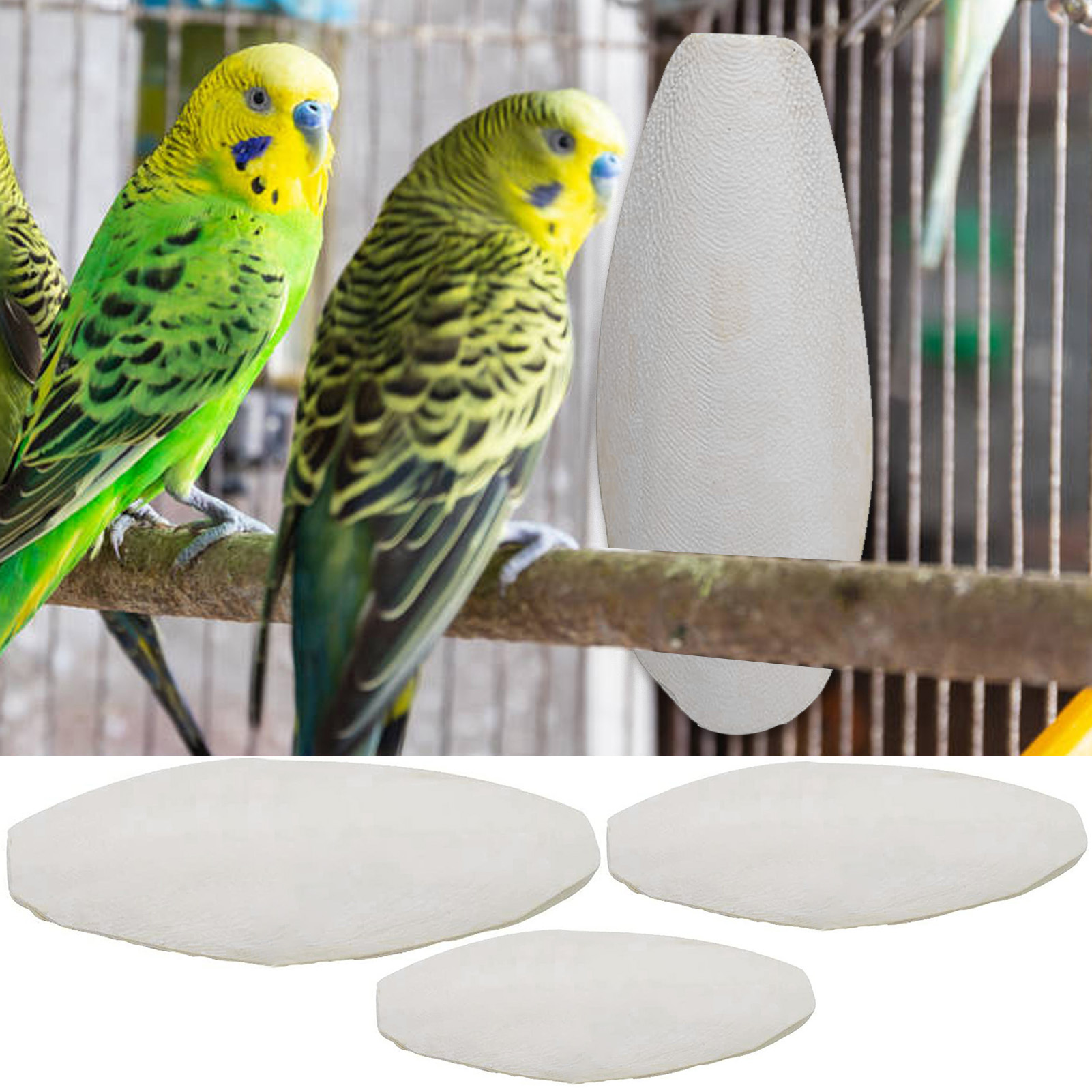 10pcs Cuttlebone For Parakeet Parrot Chewing Cuttle Bone For Sharp Beaks Cuttlefish Bone For Budgies Cockatiels