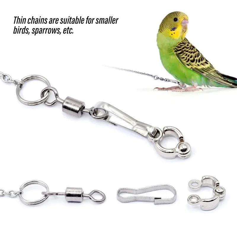 Bird Parrot Foot Chain Stainless Steel Ankle Foot Ring Stand Chain Outdoor Flying Training Starling Pigeon Bird Accessories