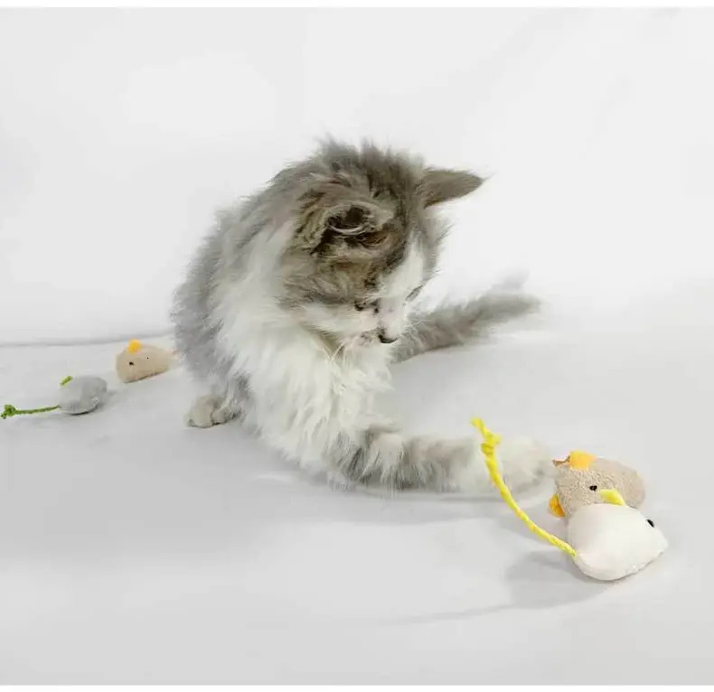 Update Cat Toy Plush Simulation, Cat Mint Toy, Scratch Bite Resistant, Self Soothing, Cardboard Jam Relieving, Little Mouse