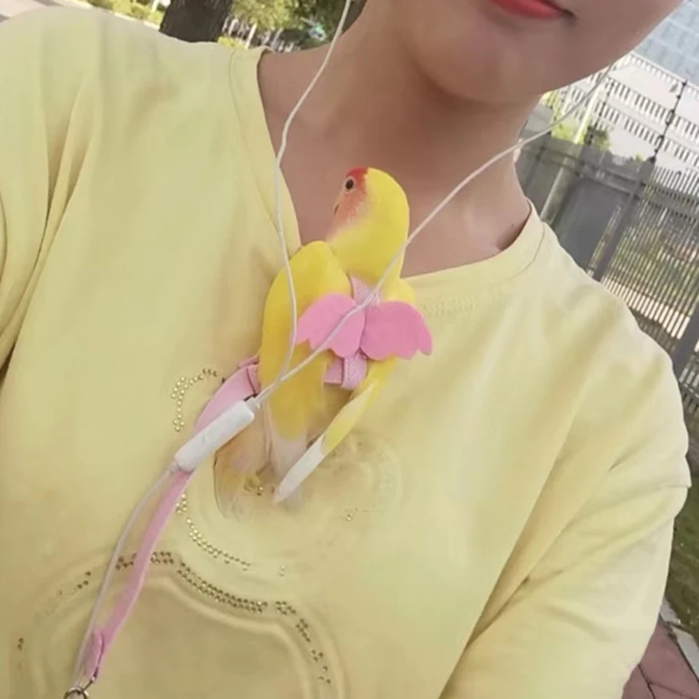New Parrot Flying Harness Leash Suit Pet Bird Outdoor Flight Training Rope Cockatiel Supplies Macaw Accessories Stuff For Budgie