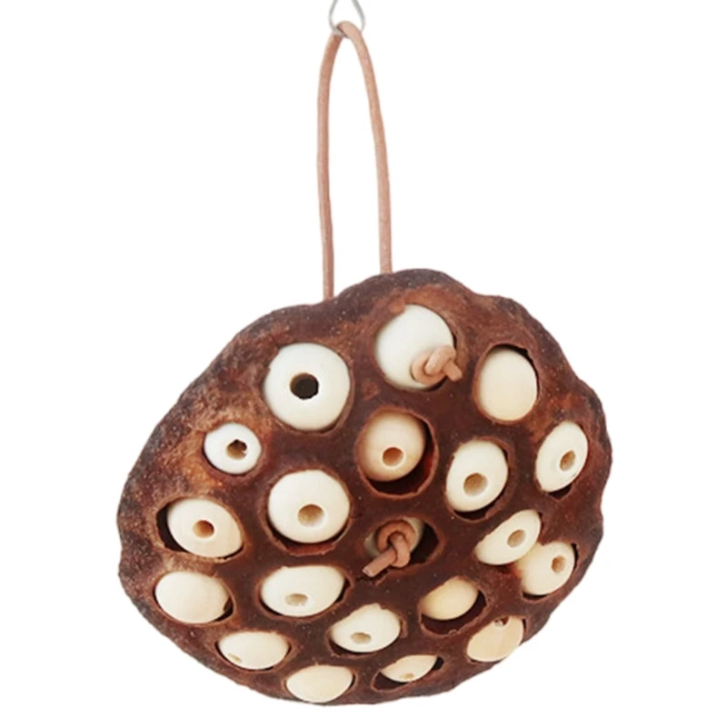 Bird Toy Parrot Chewing Toy Birdcage Tearing Toy All Size Birdcage Nature Lotos Seedpod Bird Toy for Conures Cockatiels