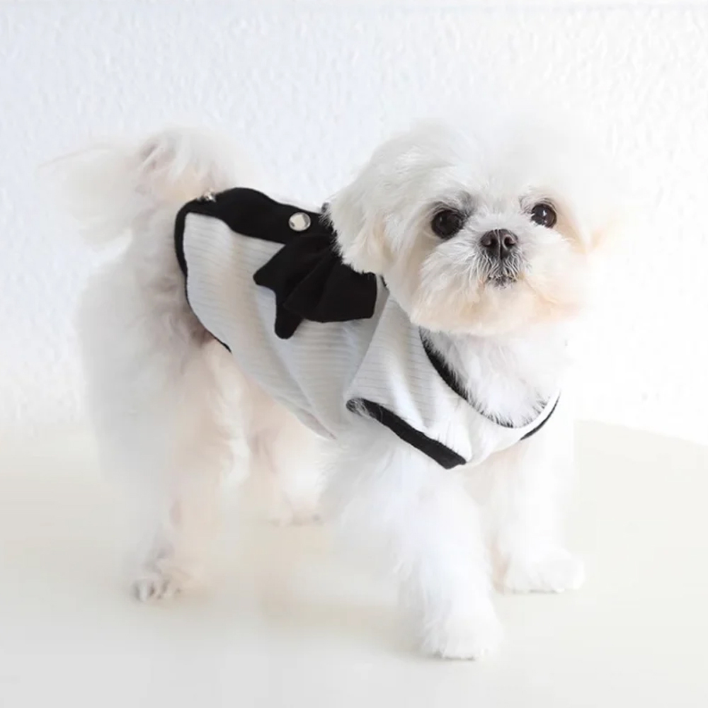 Summer Dog Clothes Bowknot Dress Cat Princess Dresses Chihuahua Yorkie Thin Sweet Skirts Puppy Costume Pet Supplies Free shipping