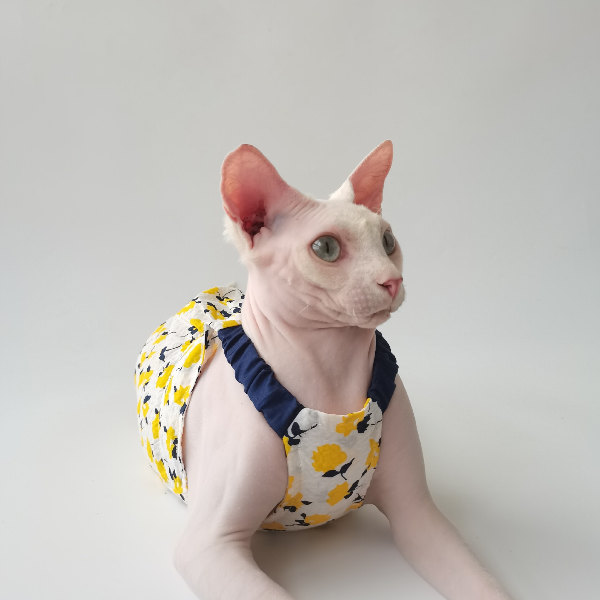Summer Refreshing Floral Vest Skirt, All Cotton Ultra-thin Breathable Sphinx Hairless Cat German Clothing