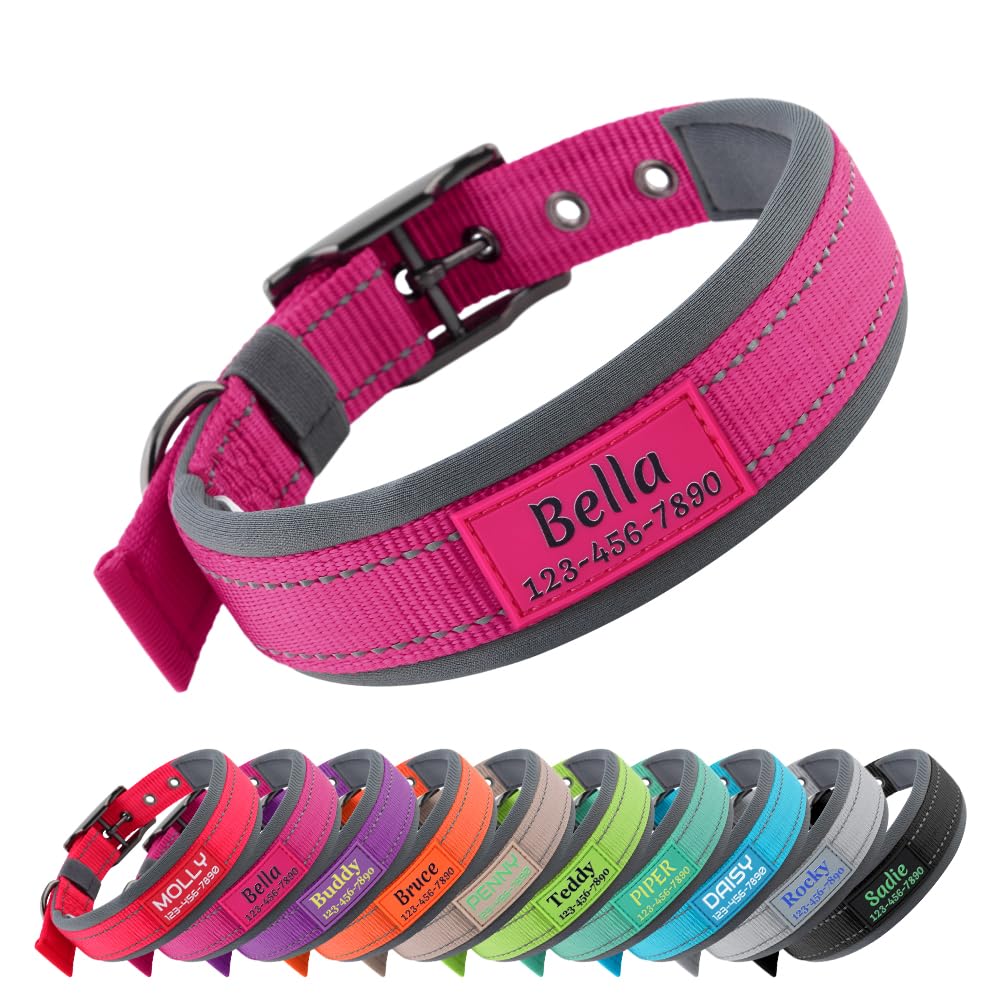 Adjustable ZIIZO Genuine Leather Dog Collar - High-Quality Material Ideal for Training & Everyday Use