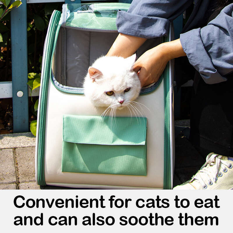DHpet Large - capacity Pet Backpack, Breathable & Portable, Holds Up to 6.6 lbs, for Cats & Small Dogs