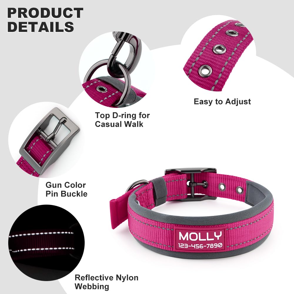 Adjustable ZIIZO Genuine Leather Dog Collar - High-Quality Material Ideal for Training & Everyday Use