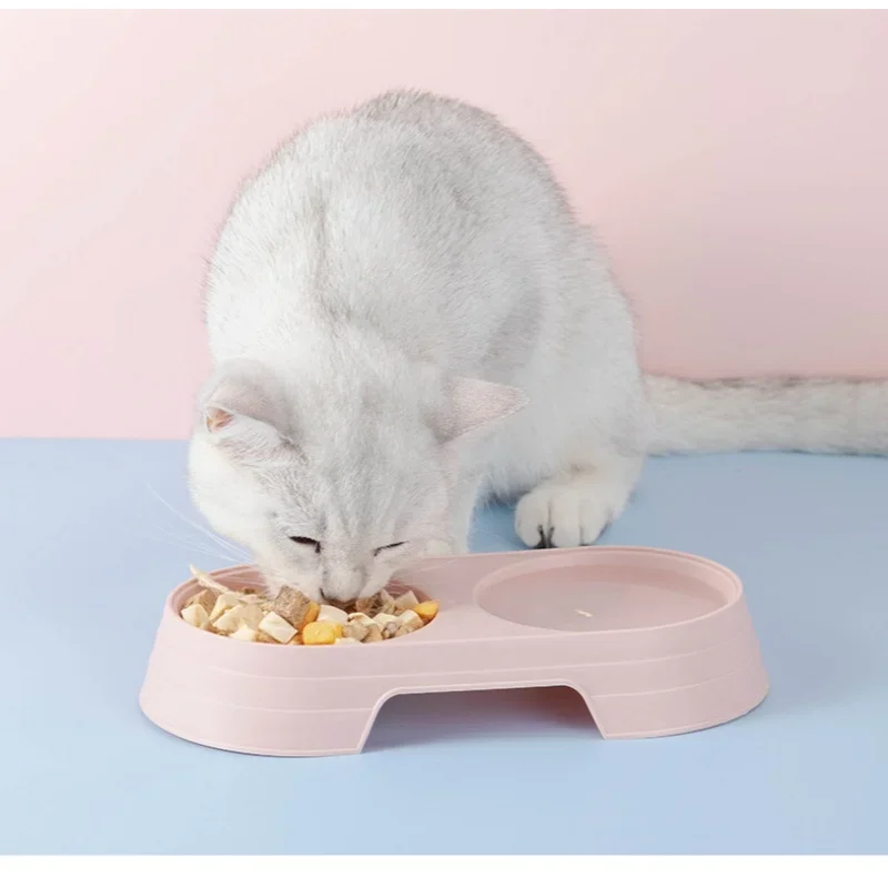 Cat Bowl Pet Double Bowl Cat Bowl Macaron Candy Color Pet Feeding Bowl Export Quality Macaron Color Pet Bowl