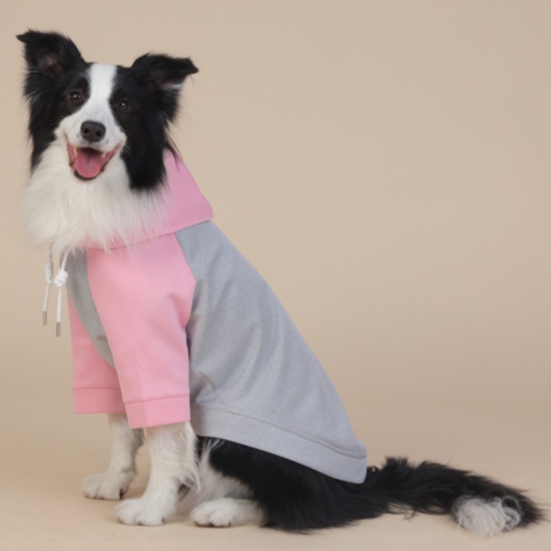 All - Weather Four - Legged Raincoat for Small and Medium Dogs, Unisex Look, Pastel Colors