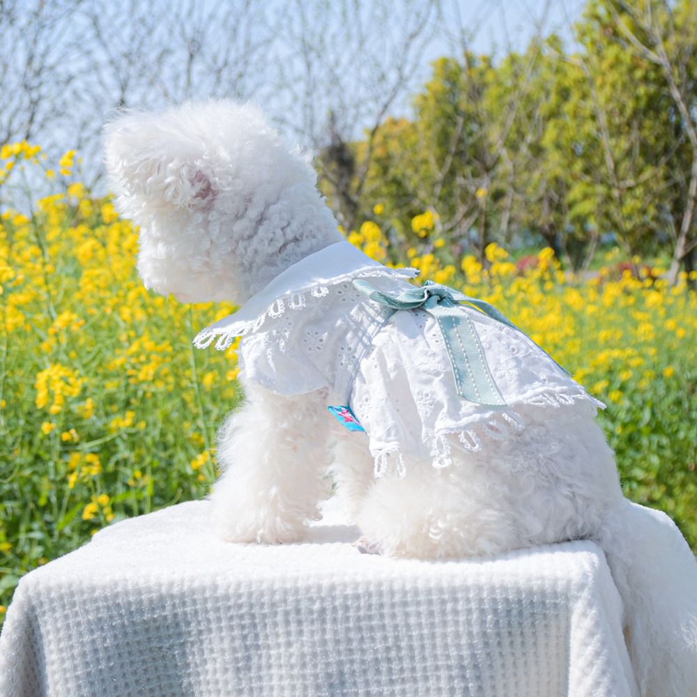 Bichon Frise White Spring Cat Dog Dress Hollow Out Soft Puppy Skirt Skin-friendly Pet Skirt Spring/summer