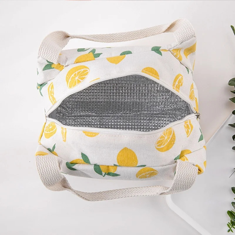 Lunch Carry Bag Insulated Thermal Portable Picnic Bags for Women School Travel Food Handbags Bento Bag Camping Supplies 250228